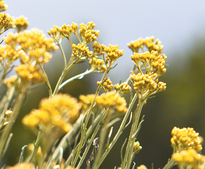 Leben im Einklang mit der Natur