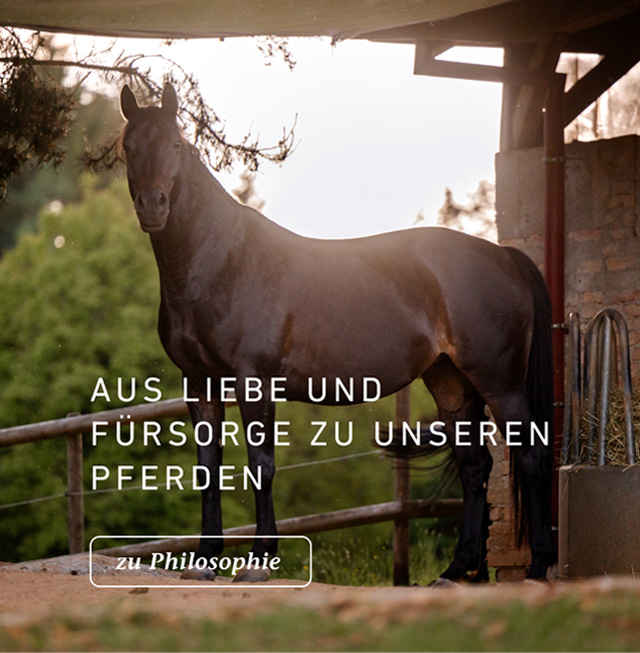 Aus Liebe und Fürsorge für unsere Pferde